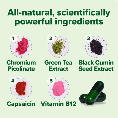 Moto Metabolism Boost