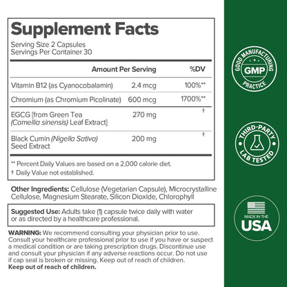 Moto Metabolism Boost